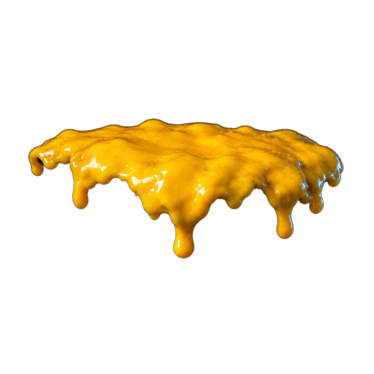 Fromage fondu